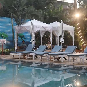 Turtle Beach Resort - Morjim